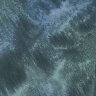 Mavericks Valpaint - Mavericks Valpaint
